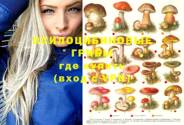 дмт Алексеевка